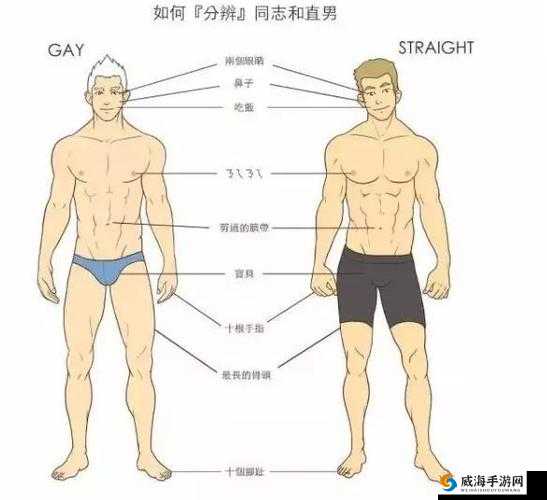 男男纯肉 GAY 无码视频日本动漫:探索禁忌之爱的极致美学