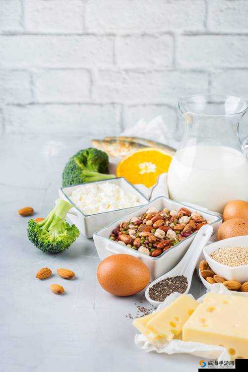 肉食家庭食取报告 1 免费:探索健康饮食的秘密