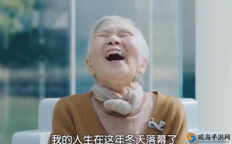 极品老太婆 BBBBBBBBB:其传奇人生背后的故事
