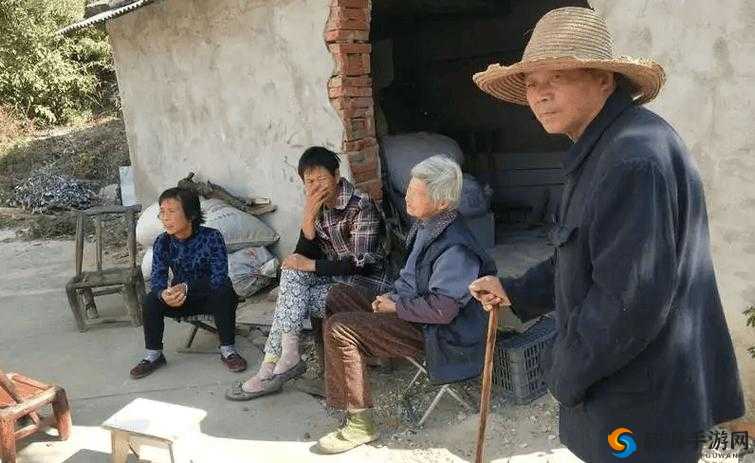 农村老妇乱辈中出：传统与现代的碰撞