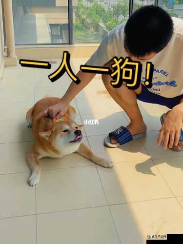 一人一狗卡住 6 小时究竟是否要紧呢