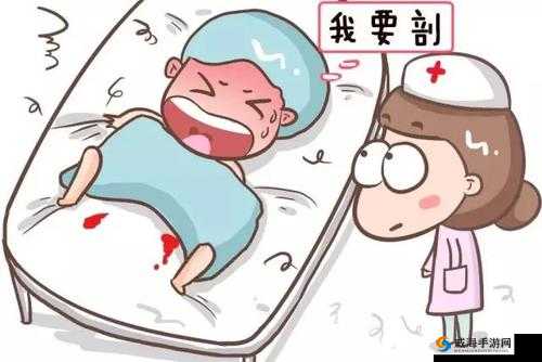 大肚美人生产双生产:这一神奇现象背后的故事