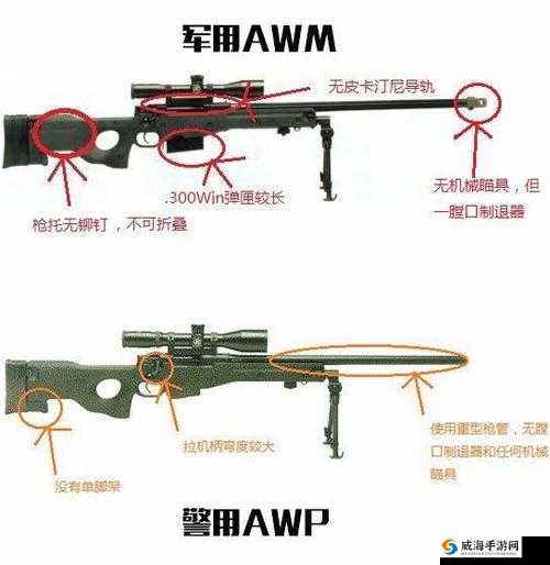 日本 CSGO 大姐姐 AWP 价格：火辣热戗等你来拿
