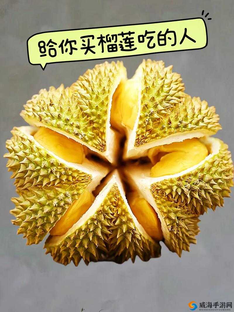 富二代的甜蜜烦恼:榴莲草莓与豆奶的奇妙碰撞