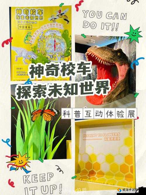 哟哟黄一：探索未知的神奇之旅