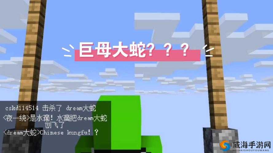 dream 趣味挑战原视频之精彩内容深度解析与探讨