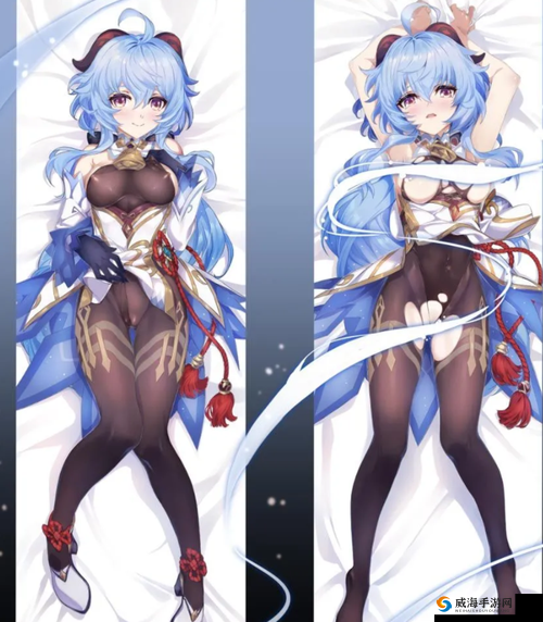 原神女角色无小内无爱心纳西：荒野上的璀璨之星