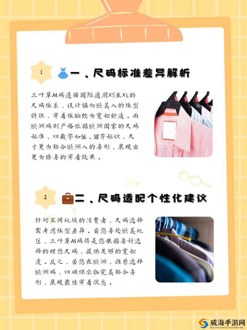 三叶草 M 码与欧洲码的对比:差异与特点详细解析