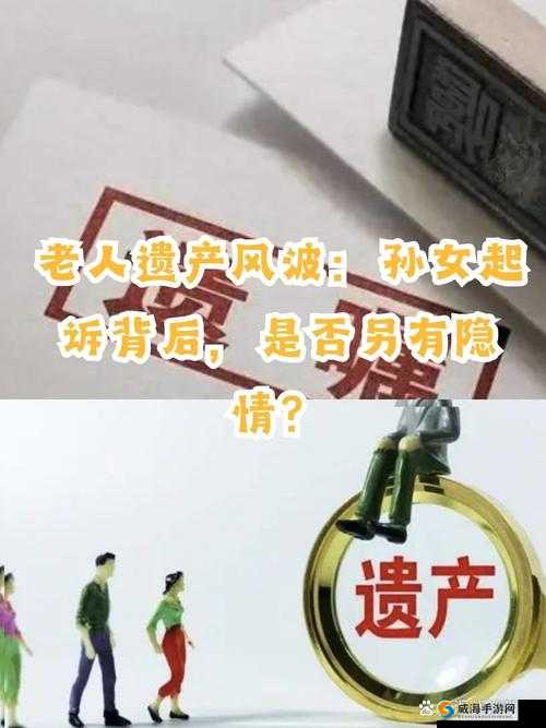 引发社会广泛关注的浓毛老太相关事件及后续影响
