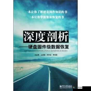 亚洲超黄清砖码区相关内容的深度探索与剖析