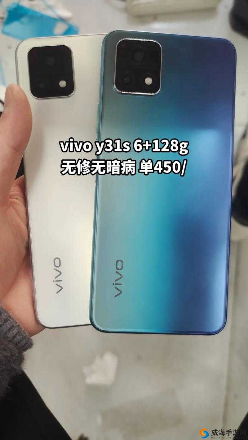 y31 内容成色好，形式多样：你想要的都在这里