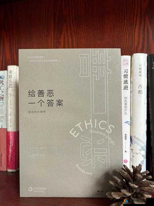 人类进入羊的水门是否合适:一个关于道德和伦理的探讨