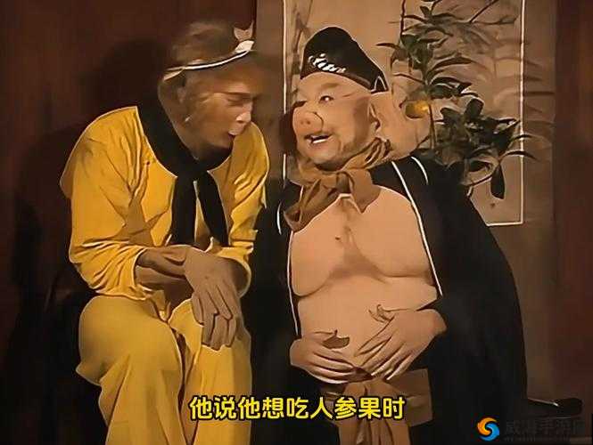 八戒八戒在线WWW观看:带你领略精彩视频世界