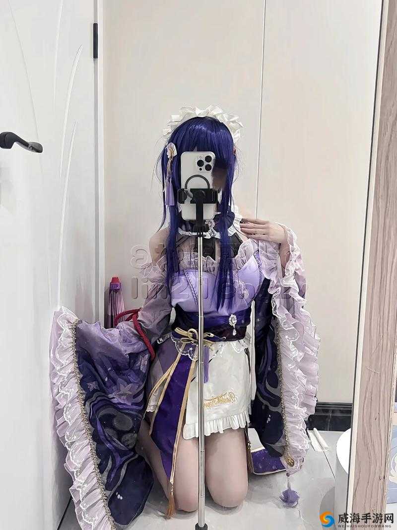 原神雷神ドラえもんのエ 网站：探索原神与哆啦 A 梦的奇妙融合