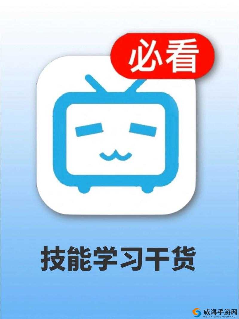 欧洲人看的 WWW 哔哩哔哩:一个充满魅力与多元内容的平台