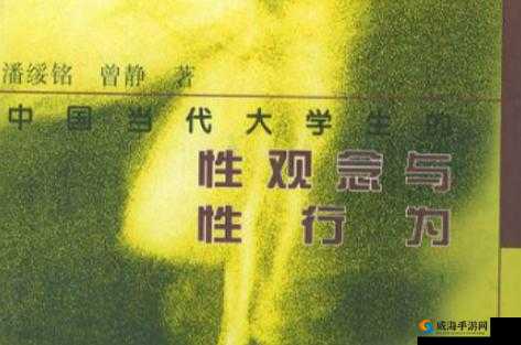 双夫 1v2 现代模式背后的社会变革：性观念的解放与挑战