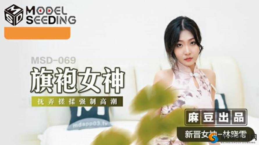 麻花豆传媒剧国产mv的发展前景面临诸多挑战与机遇需谨慎对待