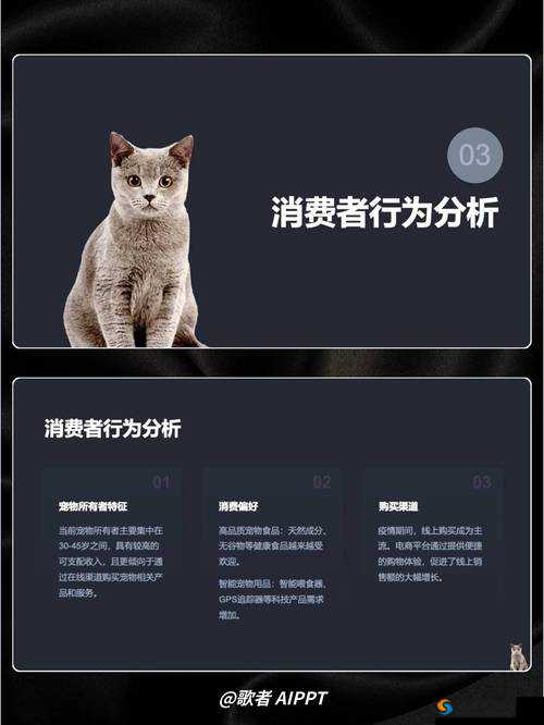 WWW-XXⅩX 之相关内容详细解读与深度分析