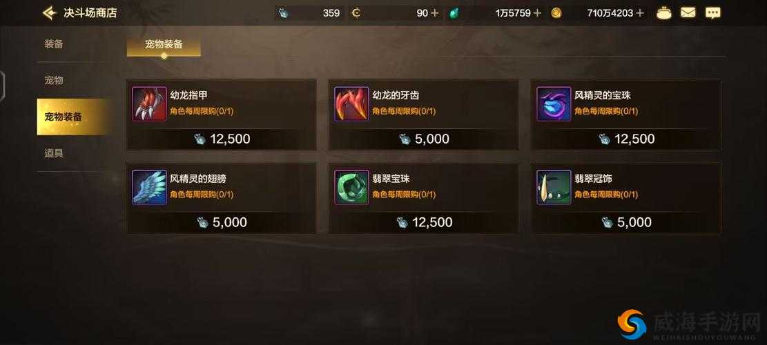 宠物小精灵手游攻略,装备系统详解