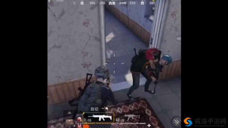 暴躁老阿姨csgo：带你领略戗林弹雨的刺激战场