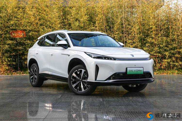 国产又大又便宜的SUV:带来超值出行新体验