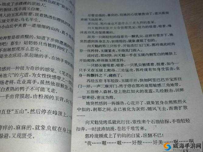璜铯武侠小说：一部充满奇幻色彩与侠义精神的经典之作