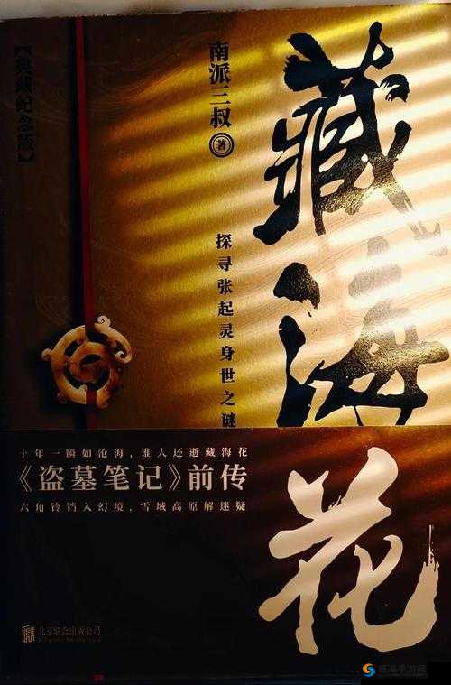盗墓笔记手游职业介绍，探寻古墓的冒险之旅
