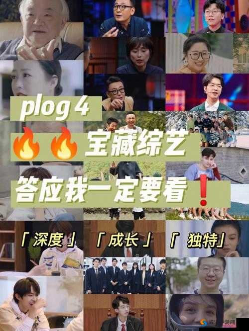 b 站在线观看:各类精彩视频应有尽有等你来看