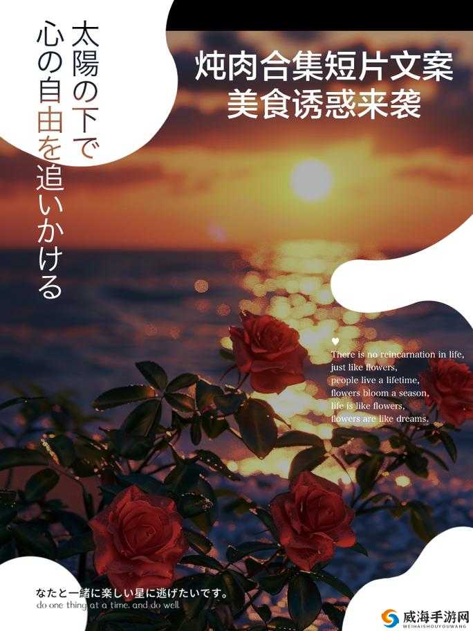 温火炖肉 pop:一道让人垂涎欲滴的美味佳肴