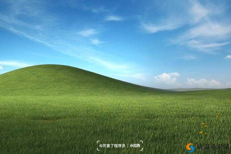 中国高清 Windows 在线优势：畅享极致视觉体验
