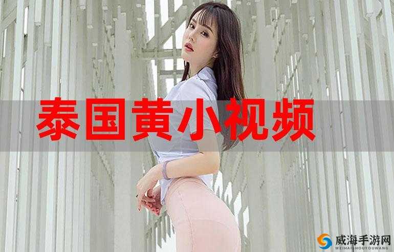 黄视频:成年人娱乐还是道德沦丧?