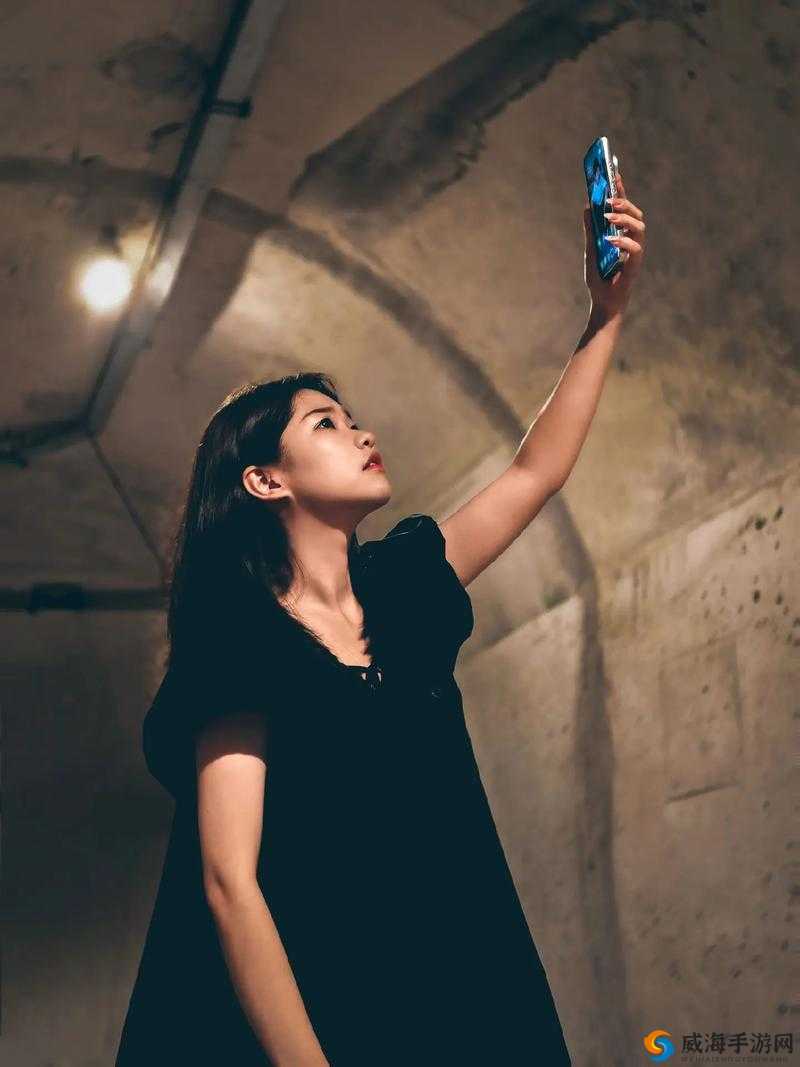 今夜无人入睡女人:在寂静夜晚中独自徘徊的神秘身影