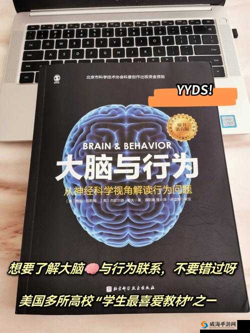 粗短与大头:性观念的解读与思考