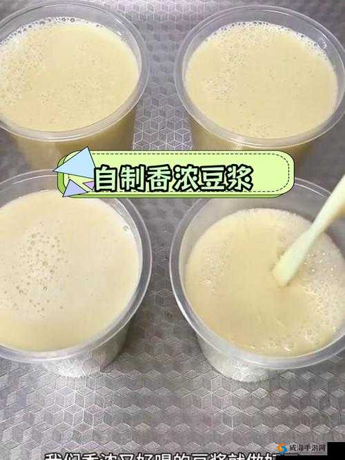 男女一起努力做豆浆的技巧:分享美味背后的合作秘诀