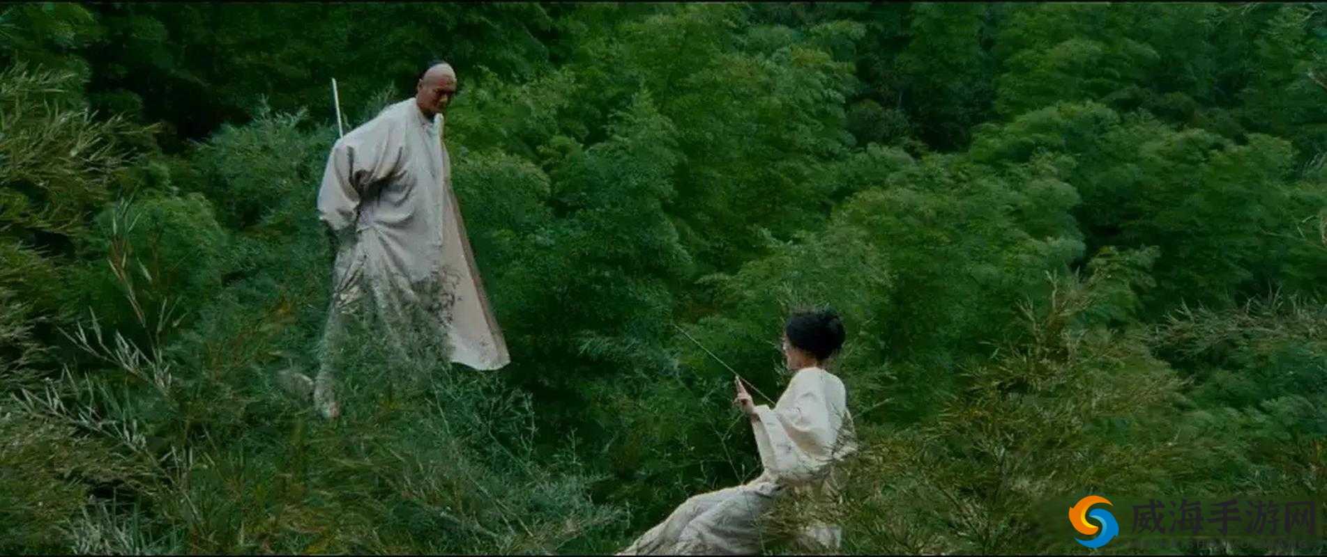 卧虎藏龙,武侠世界的轻功与探索