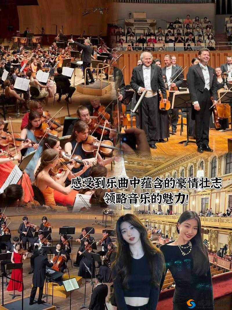 BGMBGMBGM 荷兰 HD ：带你领略独特的音乐魅力世界