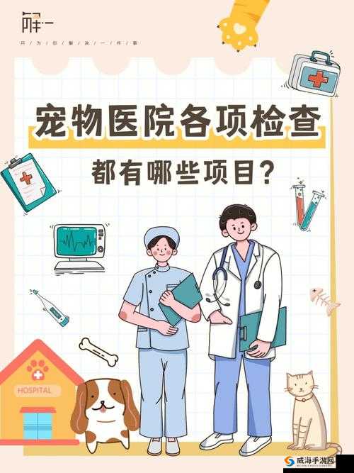一刀流宠物怎么培养,宠物系统萌翻你的全面指南
