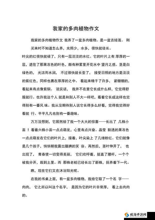 大尺寸的小黄说字多肉霍离受到所有人点赞：其魅力究竟何在