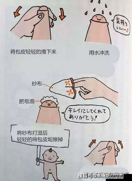 男人的伸到里擼擼动漫：探索男性性器官的奥秘