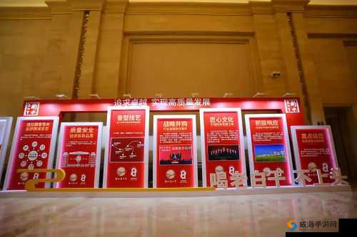 欧亚专线欧洲 S 码 WMY 卓越拓展:开启新征程