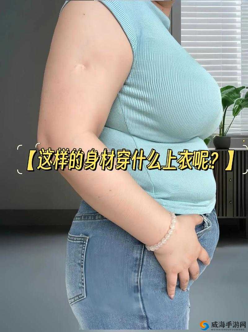 大码欧美胖 MM 短袖:展现自信与时尚的潮流之选