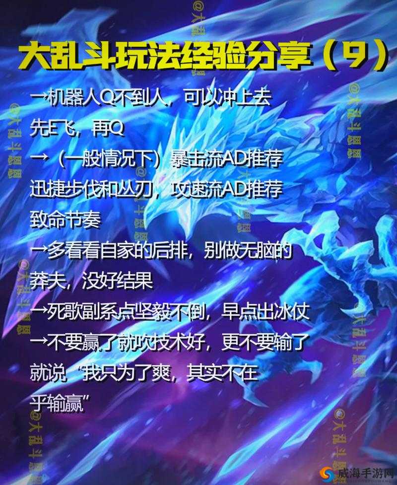 大乱斗肉寡妇出装攻略：实战技巧与核心思路解析
