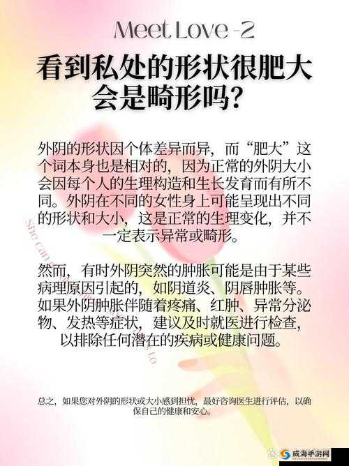女人 XXⅩXX：探索女性 XXⅩXX 的奥秘