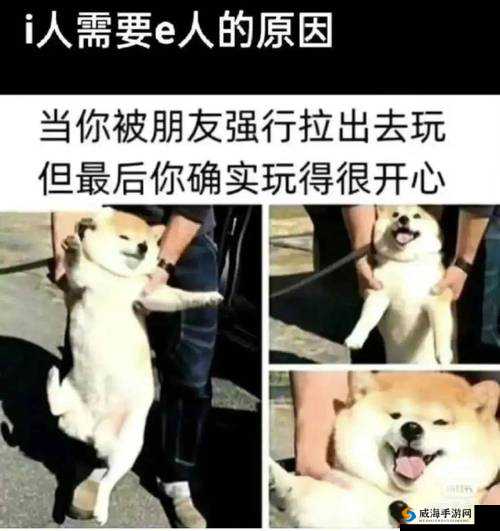超碰人人摸：探索私密领域的社交体验