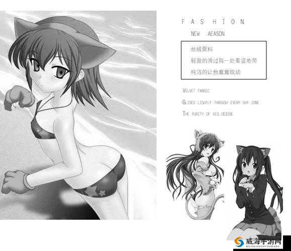 成年人无码免费 A 片免费看软件：畅享极致视觉盛宴