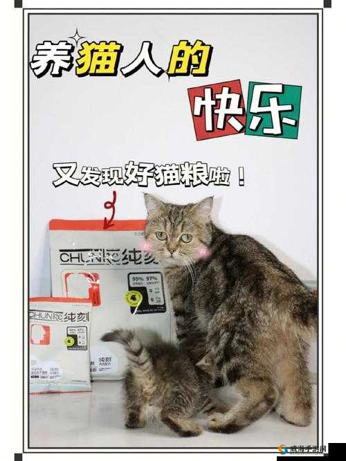 猫粮拔萝卜软件:教你轻松养猫,快乐生活