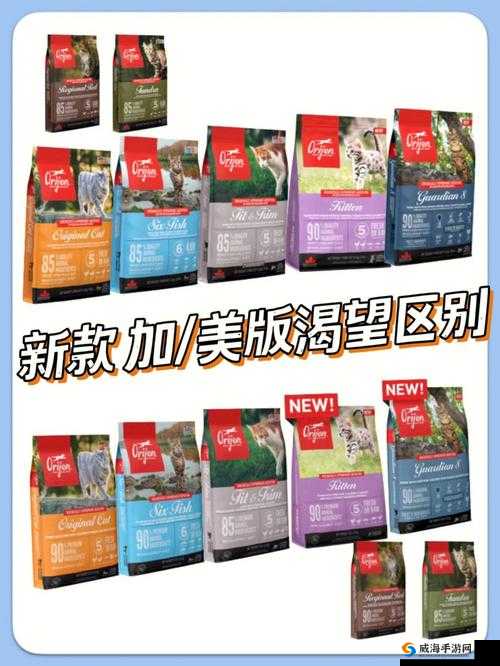 900V6 美洲版和亚洲版的区别-详细对比分析及各自特点介绍