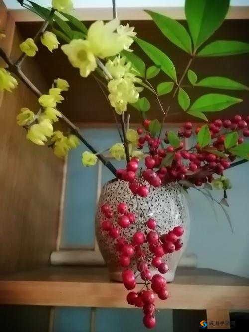 紫龙插花芯方正:探索未知的旅程