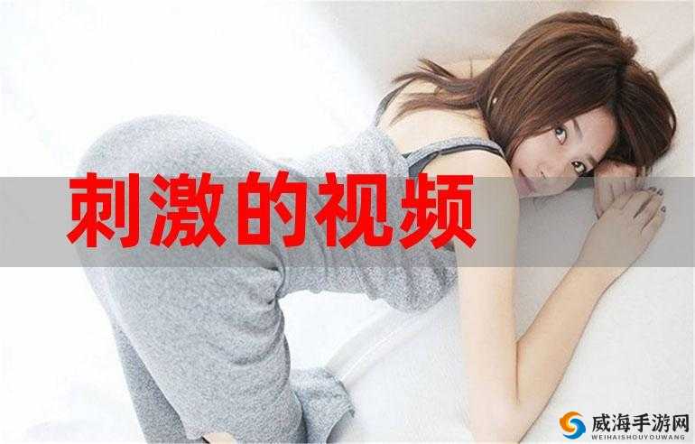 91pony 在线视频：成年人娱乐的新选择