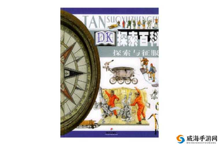 神龙岛的神秘之旅，探索与征服